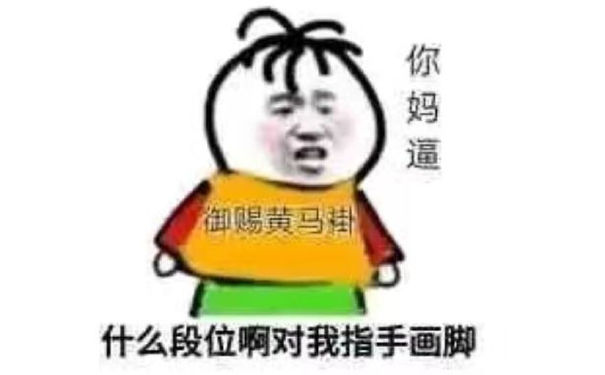 什么段位啊，对我指手画脚的