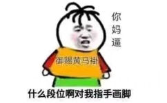 什么段位啊，对我指手画脚的