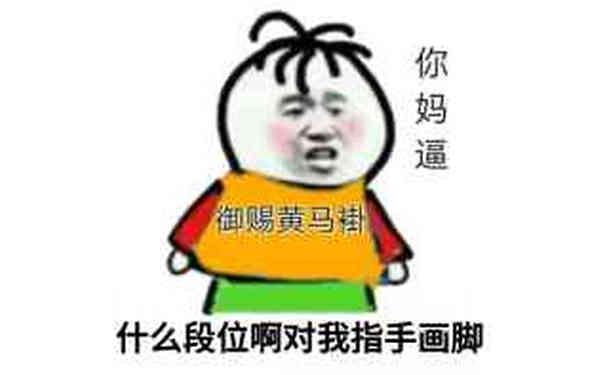 御赐黄马褂，什么段位啊对我指手画脚