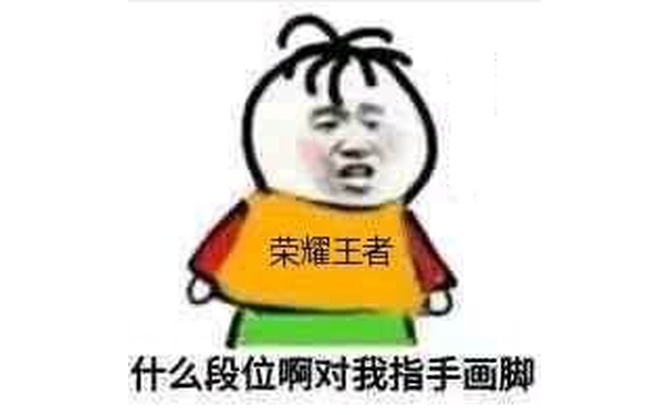 荣耀王者什么段位啊，对我指手画脚