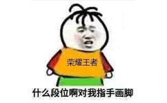 荣耀王者什么段位啊，对我指手画脚