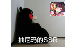 抽尼玛的SSR - 我的游戏人生