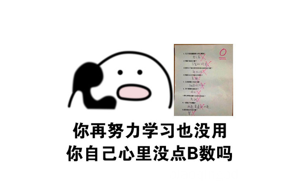 你再努力学习也没用的，你自己心里没点 B 数吗 - 我有数我有数，求别说 ​​​​