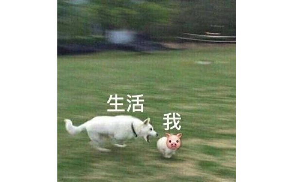 生活我 - 我与生活……