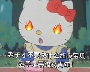 Hello kitty 表情包老子才不要做什么甜心宝贝 老子是暴躁女青年！