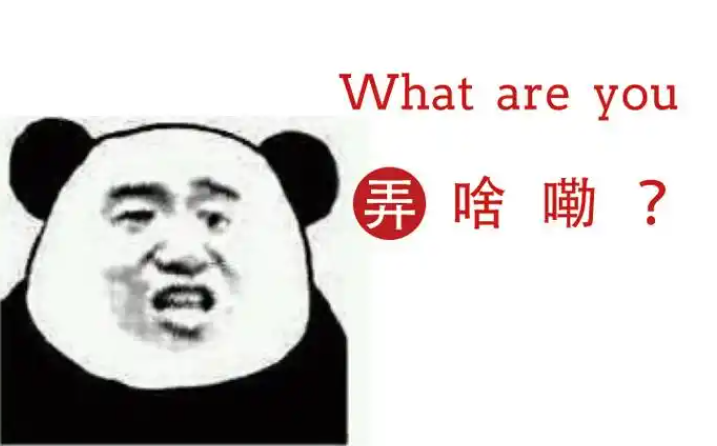 what are you 弄啥嘞（魔性小人）