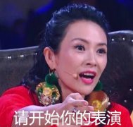 章子怡：请开始你的演出吧表情包