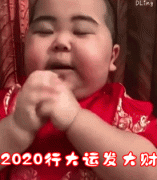 （印尼小胖拜年表情包）2020年行大运发大财表情