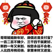 姐姐新年好,微信还是支付宝?一百二百不嫌少三千