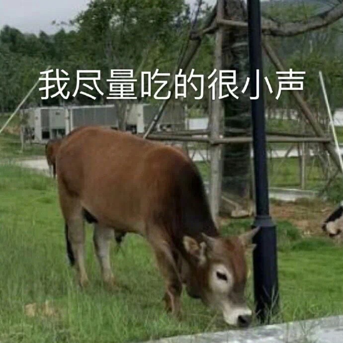 我尽量吃的很小声_小声_尽量表情