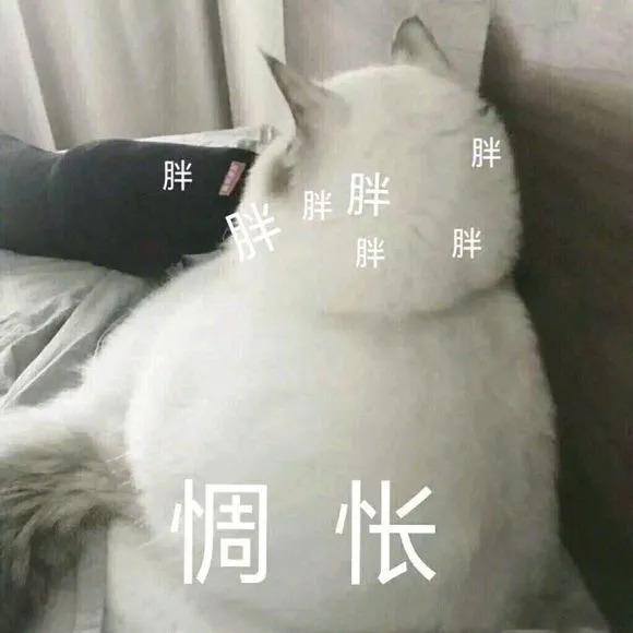 叛逆猫表情包图片-惆怅